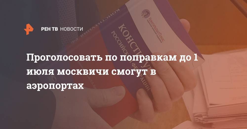 Проголосовать по поправкам до 1 июля москвичи смогут в аэропортах