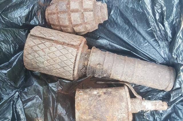 Жительница Москвы нашла на своей даче склад с оружием и боеприпасами
