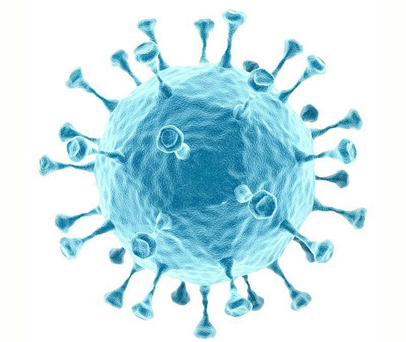 Обнаружена причина проникновения коронавируса в мозг