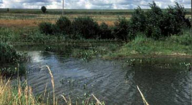 В Моргаушском районе сельчане вытащили из реки тело утопшего - pg21.ru - респ. Чувашия - район Моргаушский