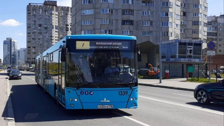 В Петербург завезли 100 новых лазурных автобусов