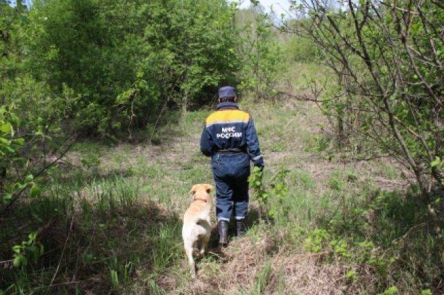 Найденный в Пермском крае 10-летний мальчик прошёл по тайге около 40 км