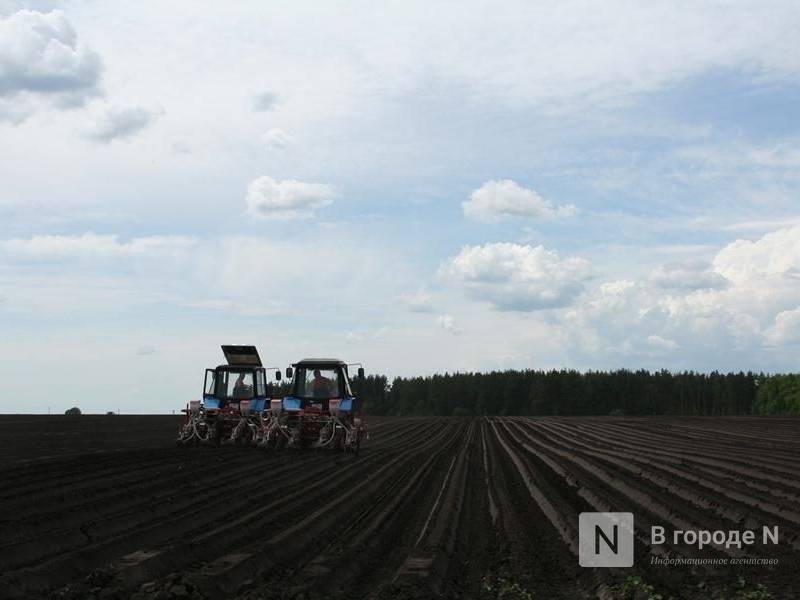 Сев основных сельхозкультур завершился в Нижегородской области
