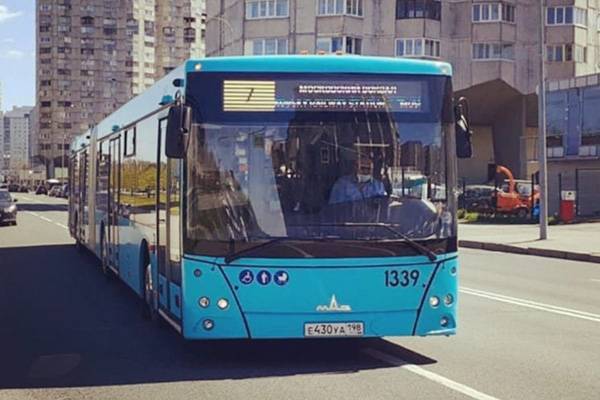 На дорогах Петербурга появятся новые двухсекционные автобусы