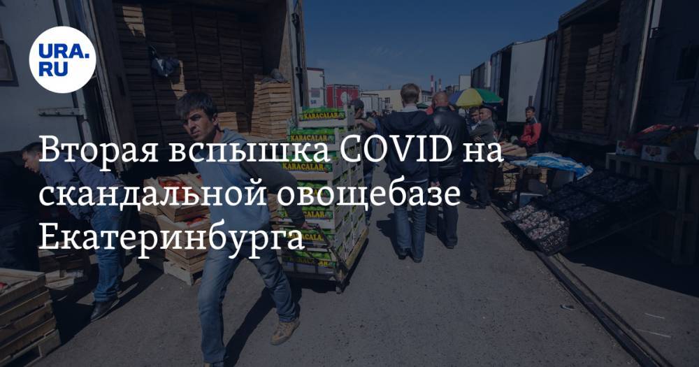 Вторая вспышка COVID на скандальной овощебазе Екатеринбурга