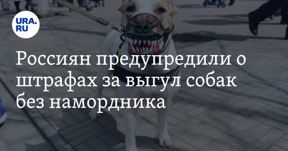 Россиян предупредили о штрафах за выгул собак без намордника
