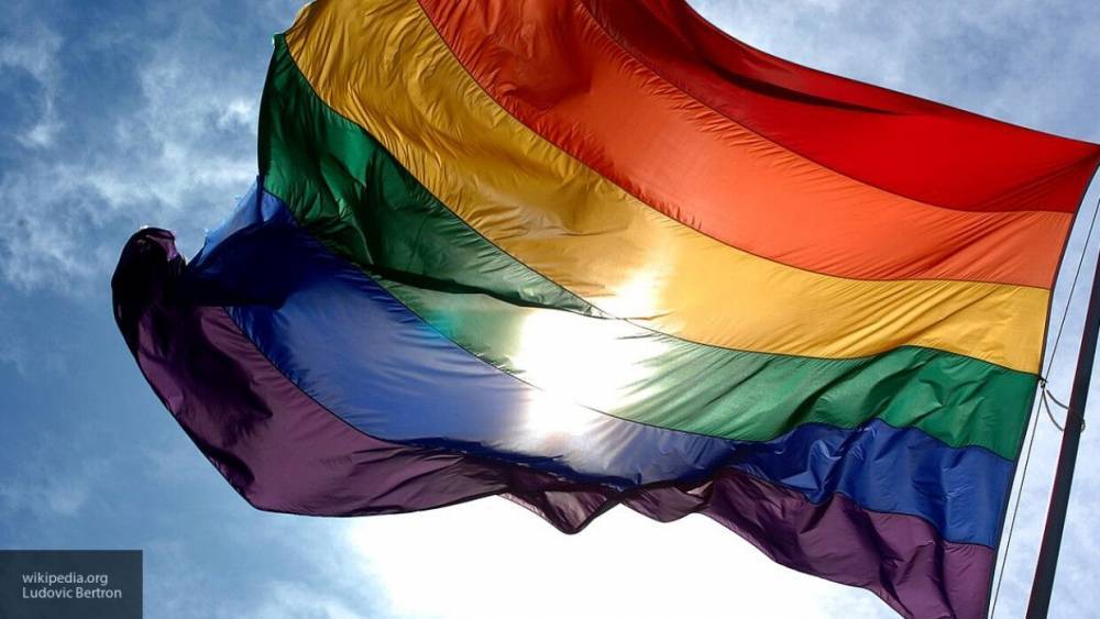 Психолог Зуев заявил, что ЛГБТ-сообществу плевать на детей