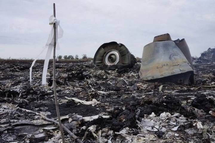 Раскрыты результаты анализа тел членов упавшего в Донбассе Boeing экипажа