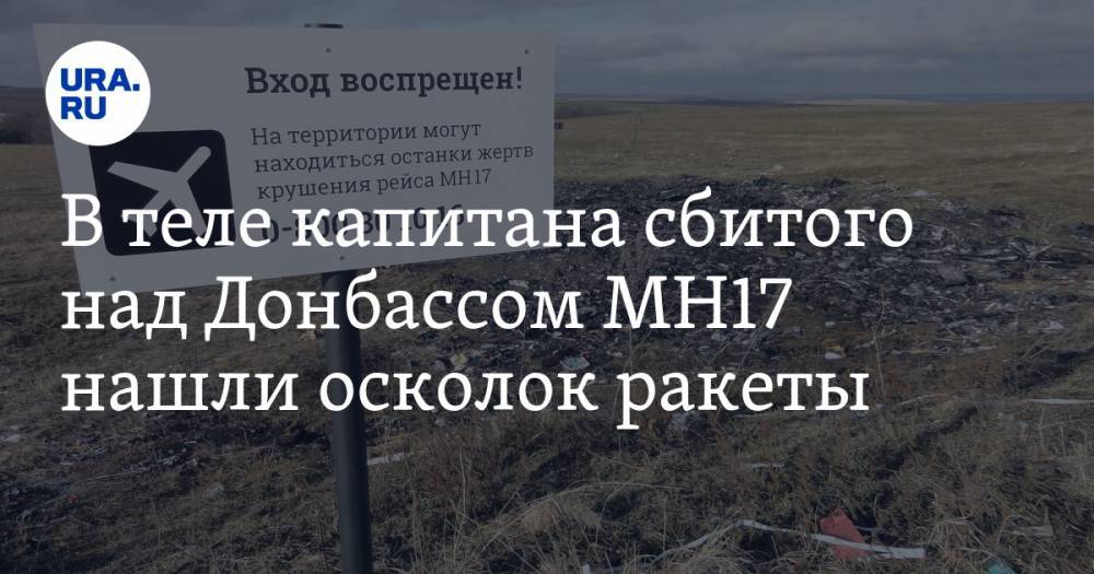 В теле капитана сбитого над Донбассом MH17 нашли осколок ракеты
