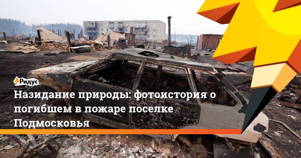 Назидание природы: фотоистория о погибшем в пожаре поселке Подмосковья