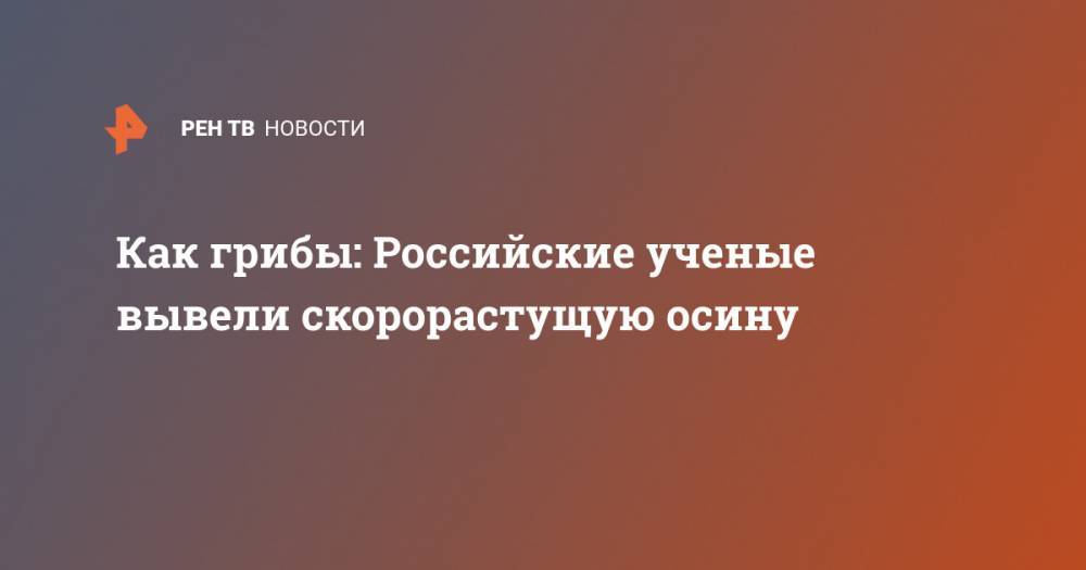 Как грибы: Российские ученые вывели скорорастущую осину