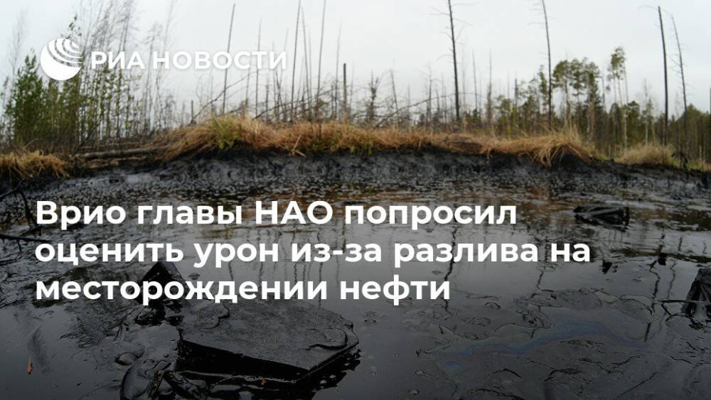 Врио главы НАО попросил оценить урон из-за разлива на месторождении нефти