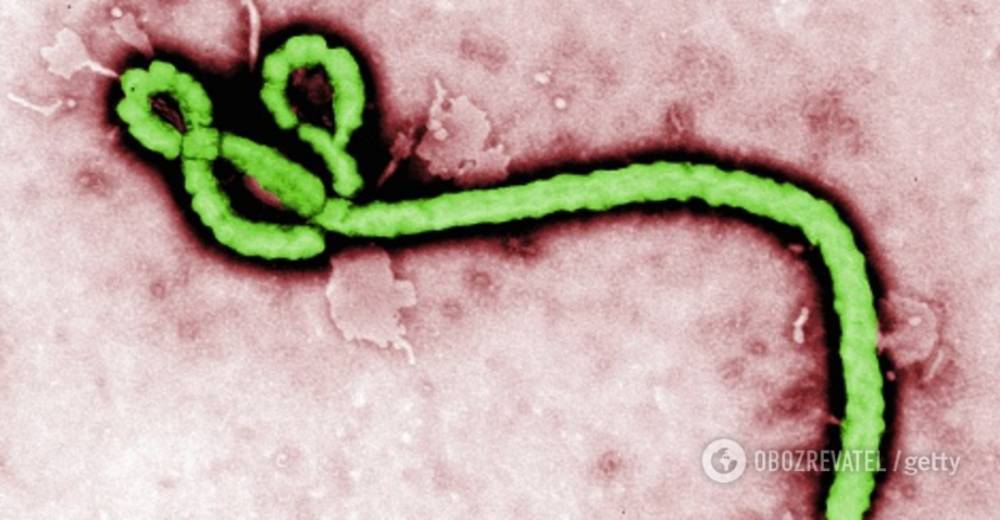 Эбола вспыхнула с новой силой: назван эпицентр, количество больных растет