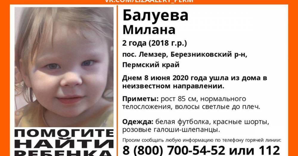 Более 300 человек ищут пропавшую двухлетнюю девочку в Пермском крае