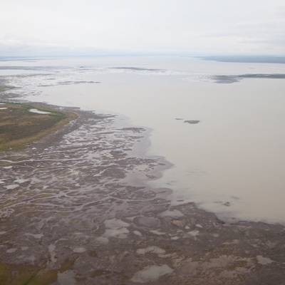 В Красноярском крае загрязнение нефтепродуктами достигло озера Пясино