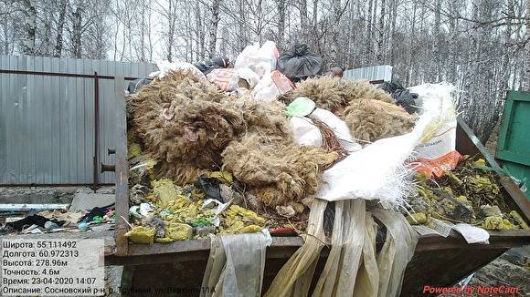 В Челябинской области среди бытового мусора оказались гробы, останки скота и боевая мина