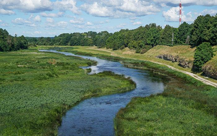 Экологическая катастрофа: в реках Латвии массово гибнет рыба
