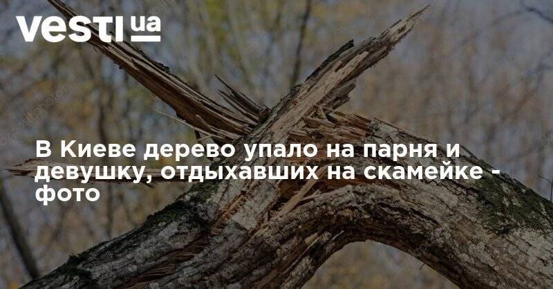 В Киеве дерево упало на парня и девушку, отдыхавших на скамейке - фото