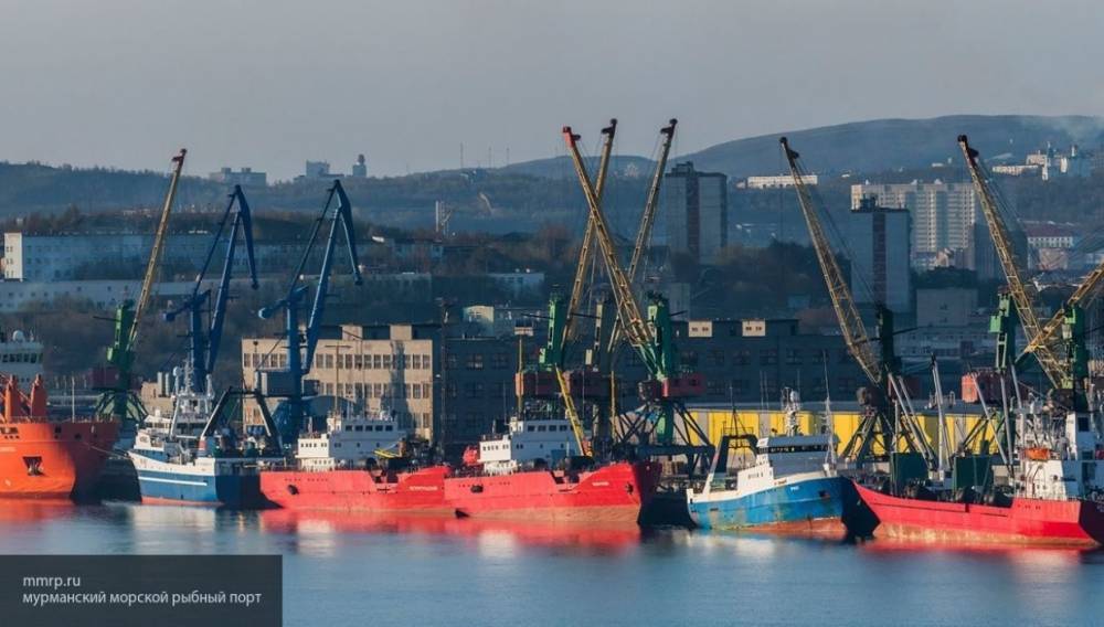 Грузы из Мурманского порта вынужденно направят в прибалтийские гавани