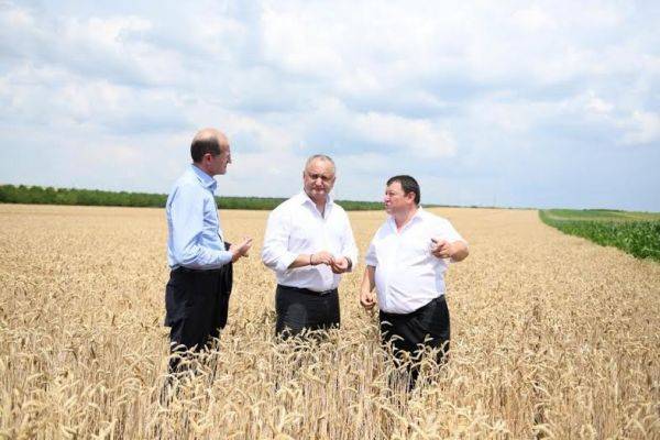 Продовольственная безопасность Молдавии обеспечена, заявил президент
