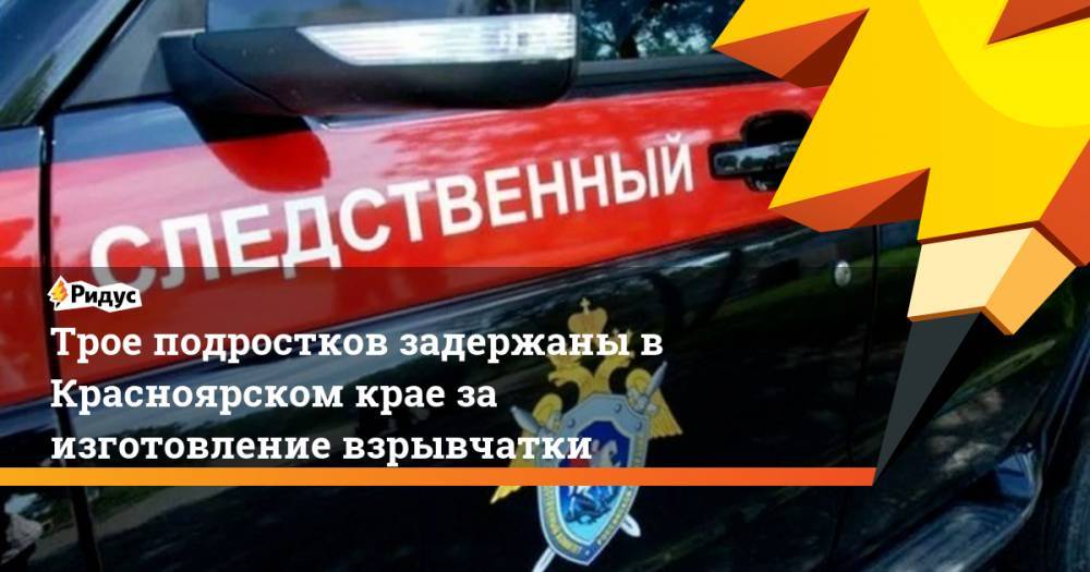 Трое подростков задержаны в Красноярском крае за изготовление взрывчатки