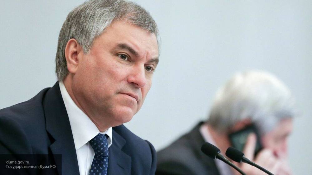Володин заявил о недопустимости давления со стороны на расследование по делу Ефремова