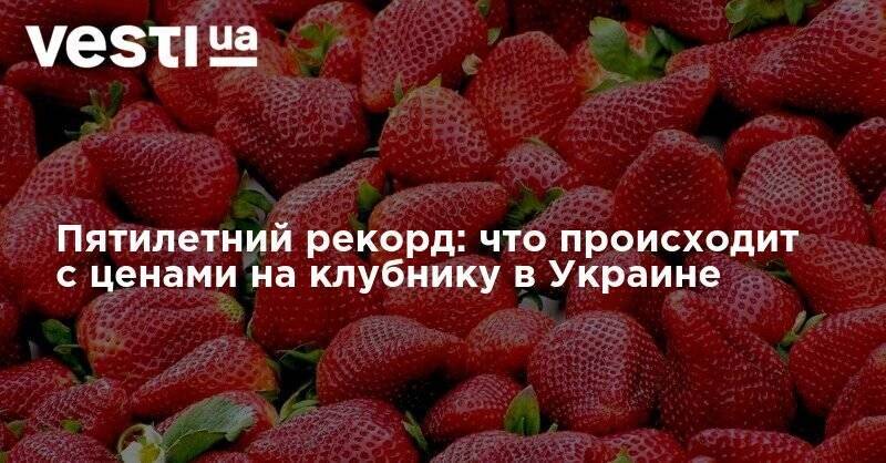 Пятилетний рекорд: что происходит с ценами на клубнику в Украине