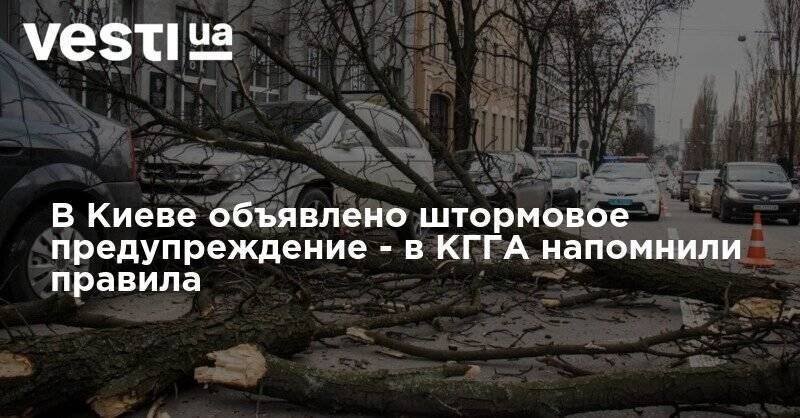В Киеве объявлено штормовое предупреждение - в КГГА напомнили правила