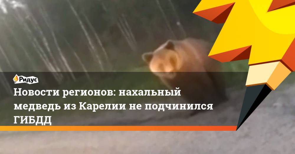 Новости регионов: нахальный медведь из Карелии не подчинился ГИБДД