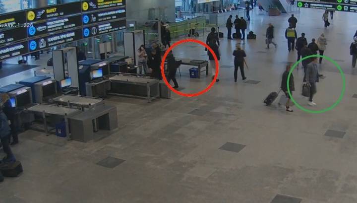 В аэропорту Домодедово задержан преступник, охотившийся за вещами пассажиров