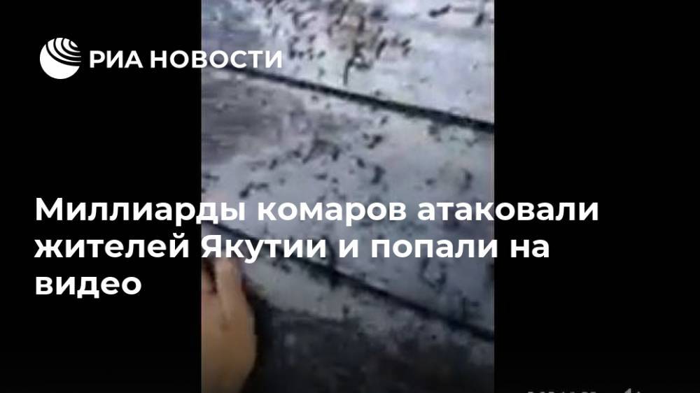 Миллиарды комаров атаковали жителей Якутии и попали на видео