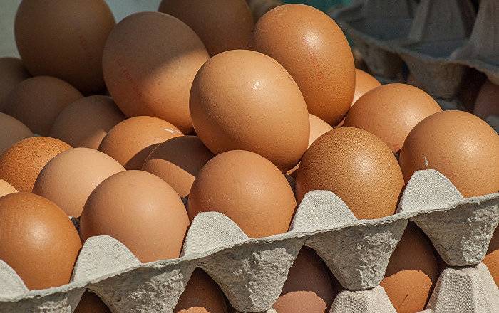 Министерство земледелия выделило 125 тысяч евро на проверку украинских яиц