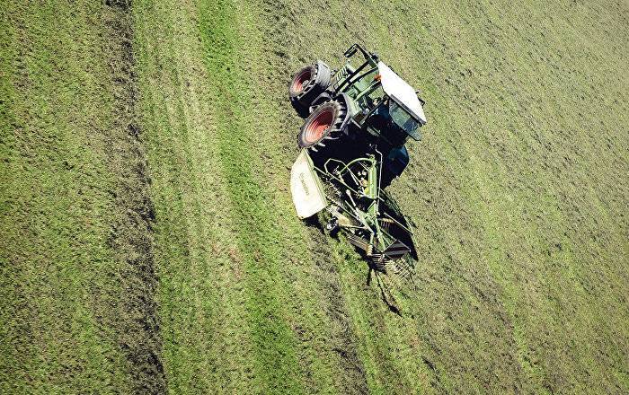 Латвийцы в поле не хотят, а гастарбайтеров не пустят: Минземледелия не помогло фермерам