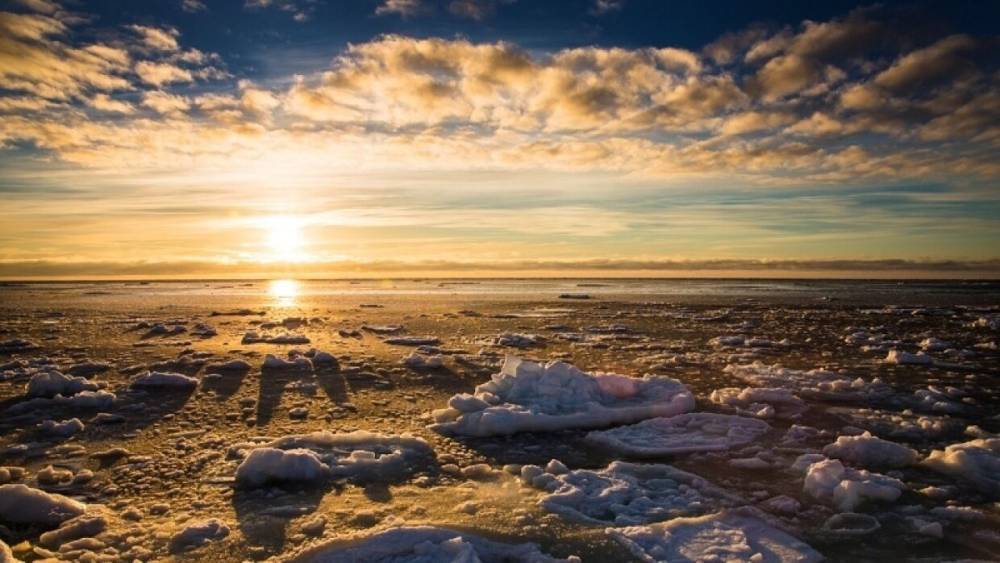 В МИД РФ заявили о готовности Москвы отстаивать национальные интересы в Арктике