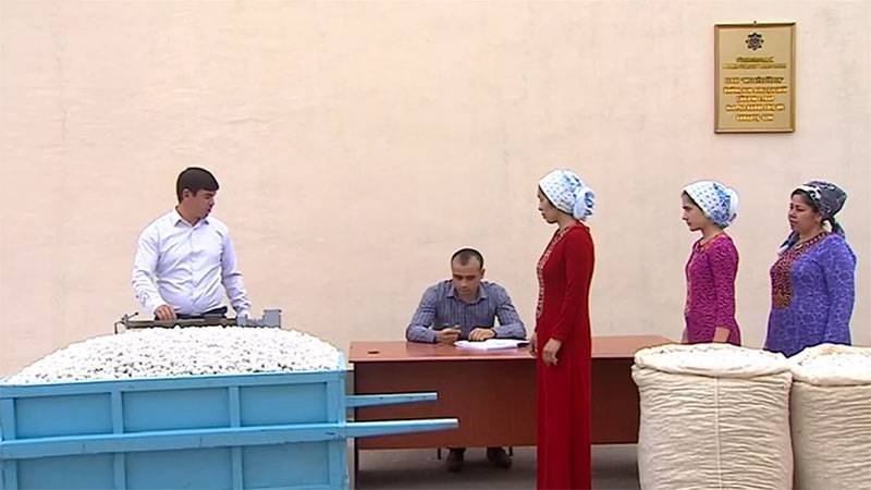 Выращивающие коконы шелкопряда жители Туркменистана не могут получить деньги за свою работу