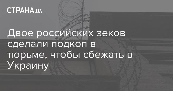 Двое российских зеков сделали подкоп в тюрьме, чтобы сбежать в Украину