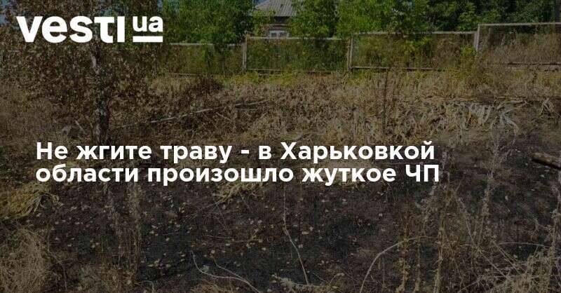 Не жгите траву - в Харьковкой области произошло жуткое ЧП