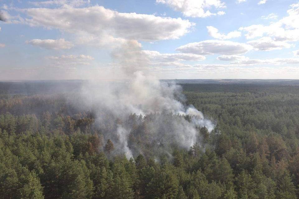 Лесной пожар на Луганщине: удалось ли потушить (фото и видео)