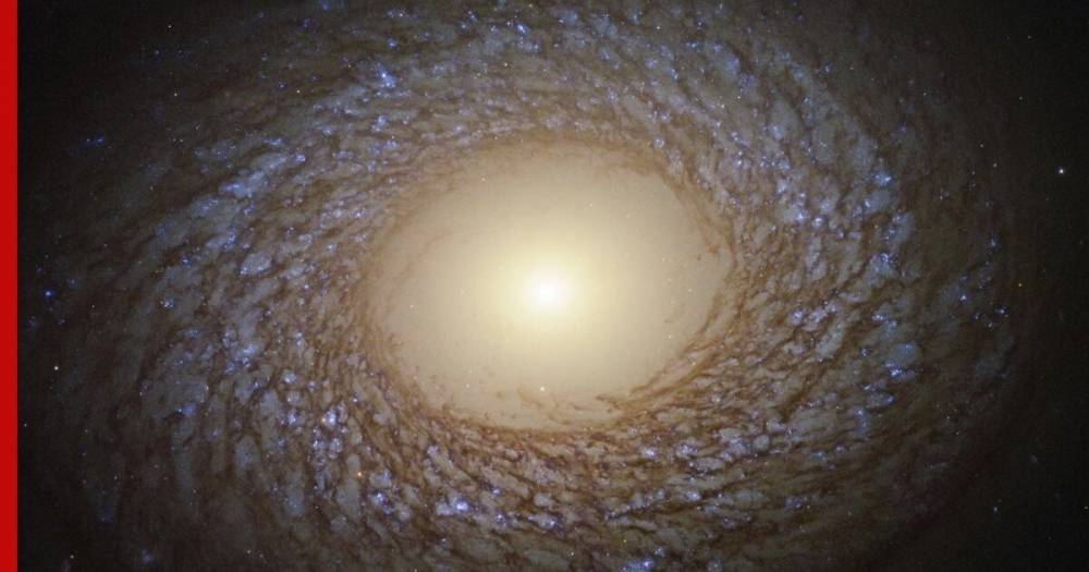 Землянам сообщили об обнаружении необычной «пушистой» галактики