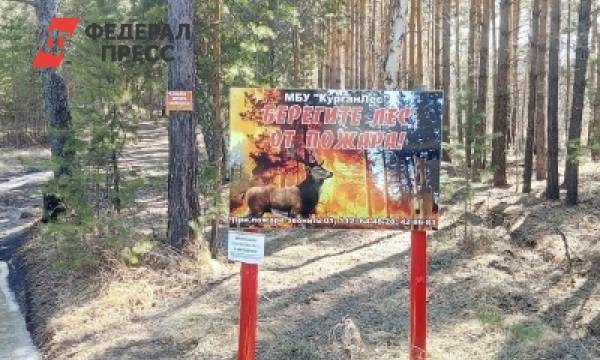 Во избежание пожаров жителям Кургана запрещено посещать леса