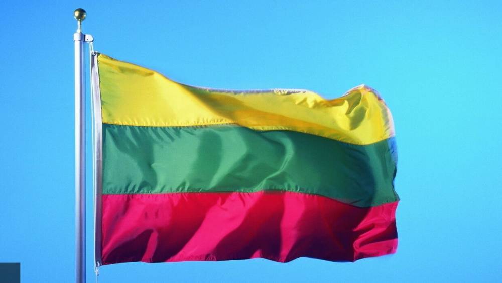 Депутаты ГД призвали РФ ввести ответные санкции против Литвы