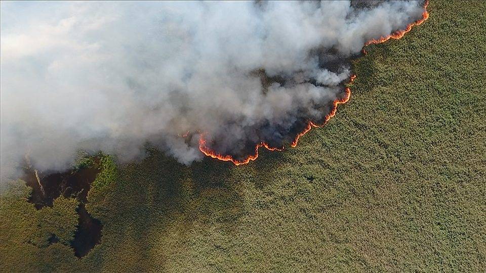 В России одновременно бушуют сотни лесных пожаров, половину из них решено не тушить