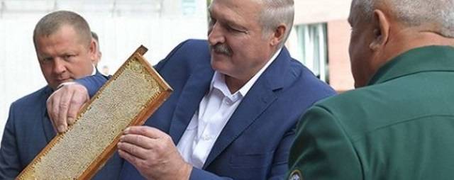 Лукашенко посоветовал лечить коронавирус медом и купанием в роднике
