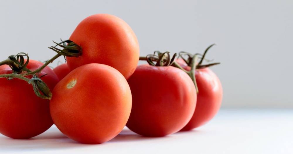 В Украине дефицит тепличных помидоров: как покрывается недостаток