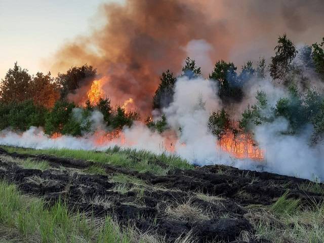 Огонь подходит к населённым пунктам: на Южном Урале из-за жары горят леса