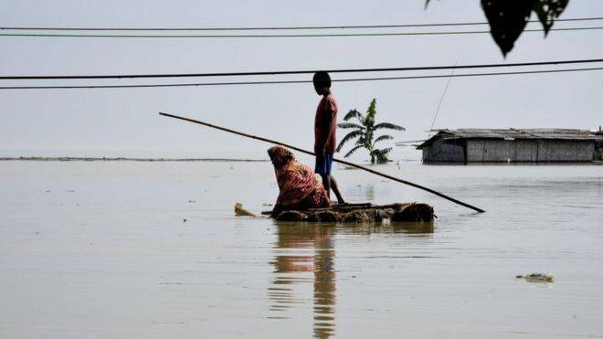 Наводнения: в Индии спасают животных, в Индонезии 15 погибших