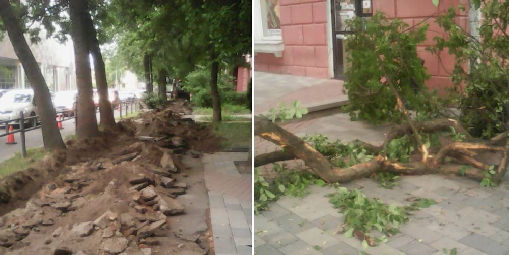 «Какая же мерзость». Дорожные рабочие изувечили яблони в центре Петрозаводска