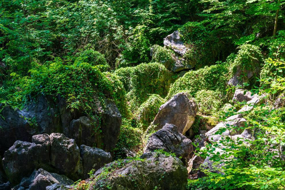 “Каменное море” (Felsenmeer) — необычная достопримечательность в Германии