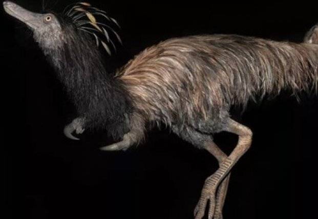 Ученые нашли останки динозавра с крючками вместо лап