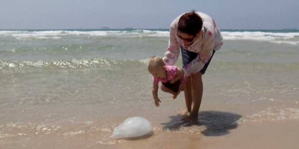 Израиль переживает ежегодное нашествие медуз: видео